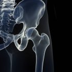 Illustration de l'articulation de la hanche dans le squelette humain sur fond noir . — Photo de stock