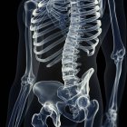 Ilustração da coluna lombar no esqueleto humano sobre fundo preto . — Fotografia de Stock