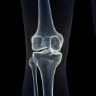 Ілюстрація кісток коліна в людському скелеті на чорному тлі . — стокове фото