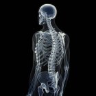 Ilustración del esqueleto humano sobre fondo negro . - foto de stock