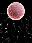 Ілюстрація сперми, що запліднює клітину людського яйця . — стокове фото