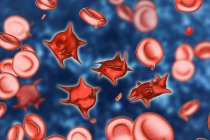 Ilustración de glóbulos rojos anormales conocidos como acantocitos de células de espolón
. - foto de stock
