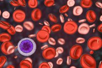 Ilustración digital de glóbulos rojos hipocrómicos y microcíticos mientras que la anemia ferropénica . - foto de stock