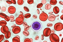 Ilustração digital de glóbulos vermelhos hipocrômicos e microcíticos enquanto anemia por deficiência de ferro
. — Fotografia de Stock