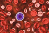 Digital illustration of hypochromic and microcytic red blood cells while iron deficiency anaemia. — Stock Photo