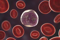 Glóbulos blancos linfocitos en frotis de sangre, ilustración digital . - foto de stock