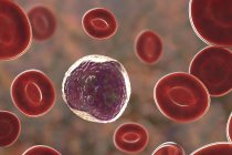 Лімфоцитів білих кров'яних клітин в мазок крові, цифрова ілюстрація. — стокове фото
