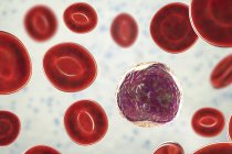 Linfociti globuli bianchi nello striscio di sangue, illustrazione digitale . — Foto stock