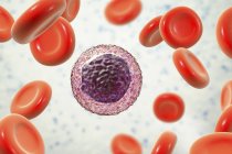 Лімфоцити білих кров'яних тілець в мазку крові, цифрова ілюстрація . — стокове фото