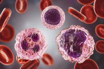 Lymphocyte, monocyte and neutrophil white blood cells in blood smear, digital illustration. — Stock Photo