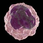 Monocyte white blood cell, digital illustration. — Stock Photo