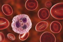 Нейтрофілів білих кров'яних клітин і червоні кров'яні клітини, цифрова ілюстрація. — стокове фото