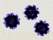 Norovirus particules de virus gastro-entérite, illustration numérique . — Photo de stock