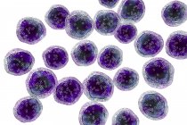 Цифровая иллюстрация злокачественных B-клеточных лимфоцитов в лимфоме Бёркитта . — стоковое фото