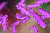 Illustration numérique de la bactérie Klebsiella granulomatis causant un ulcère génital en cas d'infection par donovanose
. — Photo de stock