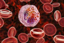 Цифровий ілюстрація eosinophil білих клітин крові з лопатеві ядер, пофарбований у фіолетовий. — стокове фото