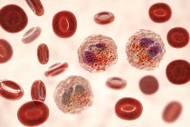 Esfregaço de sangue de eosinofilia com numerosos eosinófilos, ilustração digital . — Fotografia de Stock