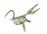 Mosasaurus-Skelett vor weißem Hintergrund, digitale Illustration. — Stockfoto