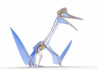 Quetzalcoatlus esqueleto sobre fondo blanco, ilustración digital . - foto de stock
