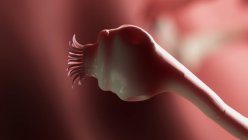 Digital illustration of intestinal parasitic tapeworm head with suckers. — Stock Photo