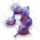 Кольорові мікрофотографія клітин раку яєчників. — Stock Photo