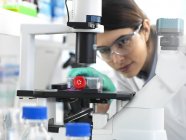 Bióloga de células femininas que coloca sob microscópio o frasco contendo células estaminais cultivadas em meio de crescimento vermelho . — Fotografia de Stock
