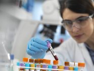 Científico seleccionando muestra de sangre humana en laboratorio . - foto de stock