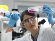 Female cell biologist examining flask containing stem cells cultivated in red growth medium. — Stock Photo