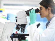 Cientista que examina o espécime ao microscópio durante o ensaio clínico em laboratório . — Fotografia de Stock