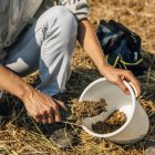 Agrarwissenschaftler entnimmt Bodenprobe für Fruchtbarkeitsanalyse. — Stockfoto