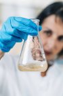 Female scientist in laboratory looking at glass flask with dissolved samples of soil. — Stock Photo