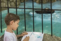 Vue arrière du petit garçon dessinant un phoque captif dans un zoo . — Photo de stock
