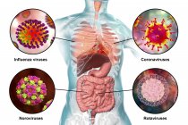 Vírus patogénicos humanos causadores de infecções respiratórias e entéricas, ilustração digital . — Fotografia de Stock