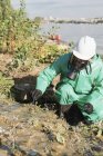 Инспектор по контролю загрязнения забирает образец почвы на месте загрязнения — стоковое фото