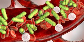 Бактеріальна інфекція крові, цифрова ілюстрація. — стокове фото