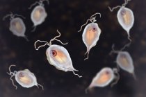 Група гомінінських паразитів Трихомонас, цифрова ілюстрація . — стокове фото