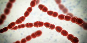 Цифровая иллюстрация красного цвета термофильных бактерий стрептококка для молочной пищевой промышленности . — стоковое фото