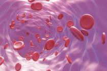 Illustration menschlicher Blutkörperchen, die durch Blutgefäße fließen. — Stockfoto