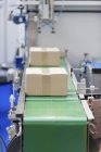 Production line with boxes moving on conveyor belt. — Stock Photo