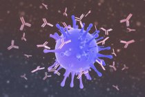 Цифрова ілюстрація рожевих антитіл атакуючих синій частинки вірусу. — стокове фото