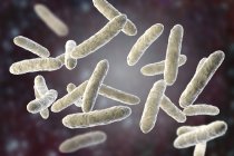 Bactéries probiotiques dans le microbiote intestinal normal, illustration numérique
. — Photo de stock