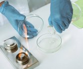Mãos de microbiologista derramando ágar em placa de Petri em laboratório . — Fotografia de Stock