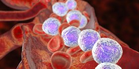 Illustration numérique de la coupe transversale d'un vaisseau sanguin présentant une leucémie lymphoblastique aiguë montrant une abondance de lymphoblastes
. — Photo de stock
