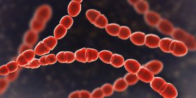 Digital illustration of red colored Streptococcus thermophilus bacteria for dairy food industry. — Stock Photo