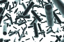 Digital illustration of blue rod-shaped bacteria on white background. — Stock Photo