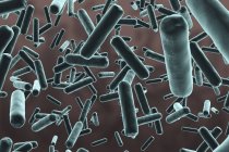 Illustrazione digitale di batteri blu a forma di verga su sfondo grigio
. — Foto stock