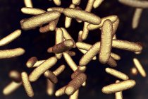 Bacterias de Citrobacter en forma de varilla amarilla, ilustración digital
. - foto de stock