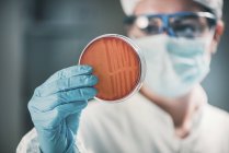 Mikrobiologe inspiziert Petrischale und beobachtet Bakterienwachstum. — Stockfoto