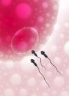 Spermatozoi umani in avvicinamento cellula uovo, illustrazione digitale . — Foto stock