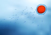 Сперматозоиды плавают к яйцеклетке, цветные цифровые иллюстрации
. — стоковое фото